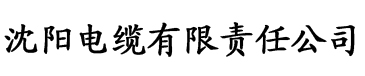 久久精品国产亚洲AV无码偷窥电缆厂logo